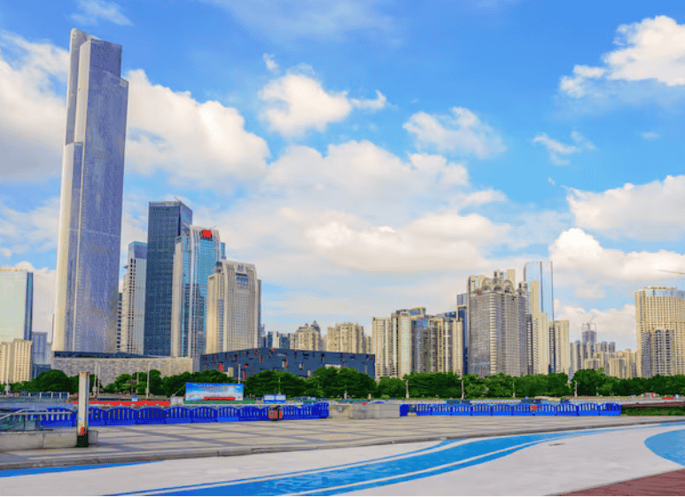 雄安新区建设会带动哪些苗木品种价格上涨？